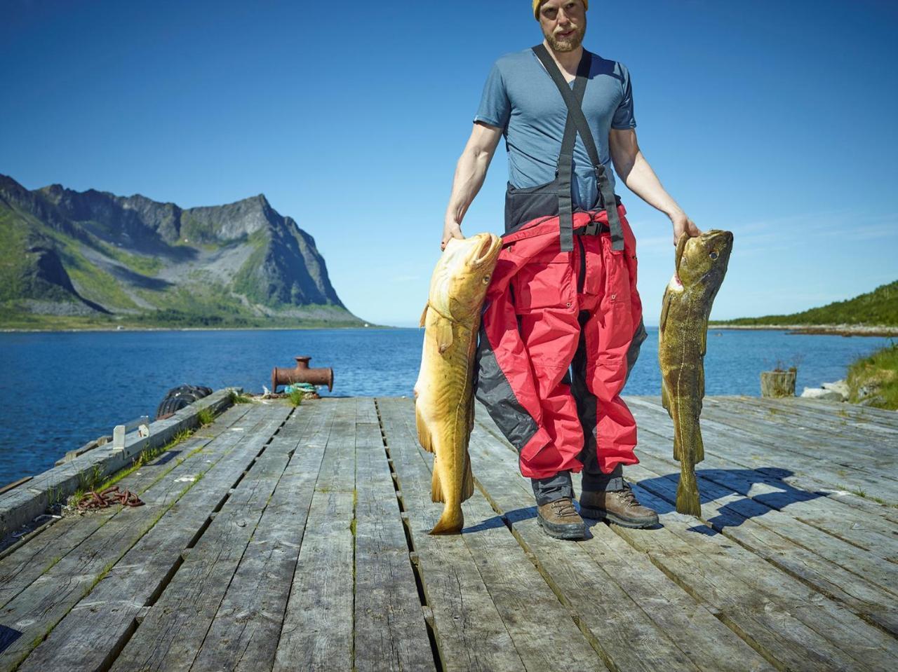 Northern Light Hotell/Camp Steinfjord Berg  Exterior foto